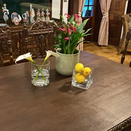 Landhuis Rural Vn Tenorio *