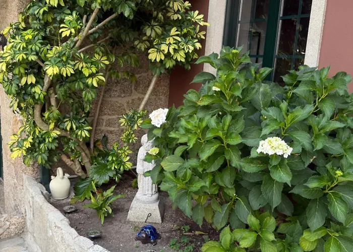 Rural Vn Tenorio